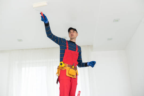 Professional Dry wall and painting in Pine Grove, PA